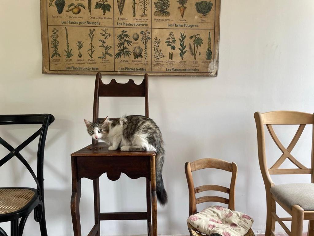 La Chaise Haute Hagetmau エクステリア 写真